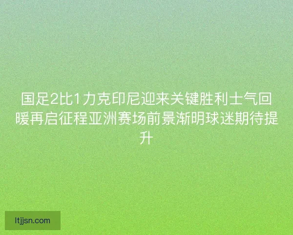 国足2比1力克印尼迎来关键胜利士气回暖再启征程亚洲赛场前景渐明球迷期待提升